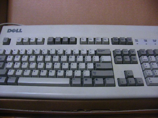 dell 101w.JPG : 완료